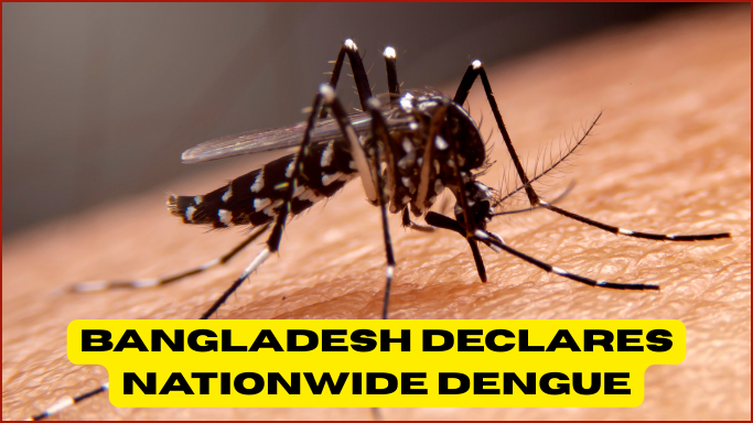 Bangladesh Declares Nationwide Dengue